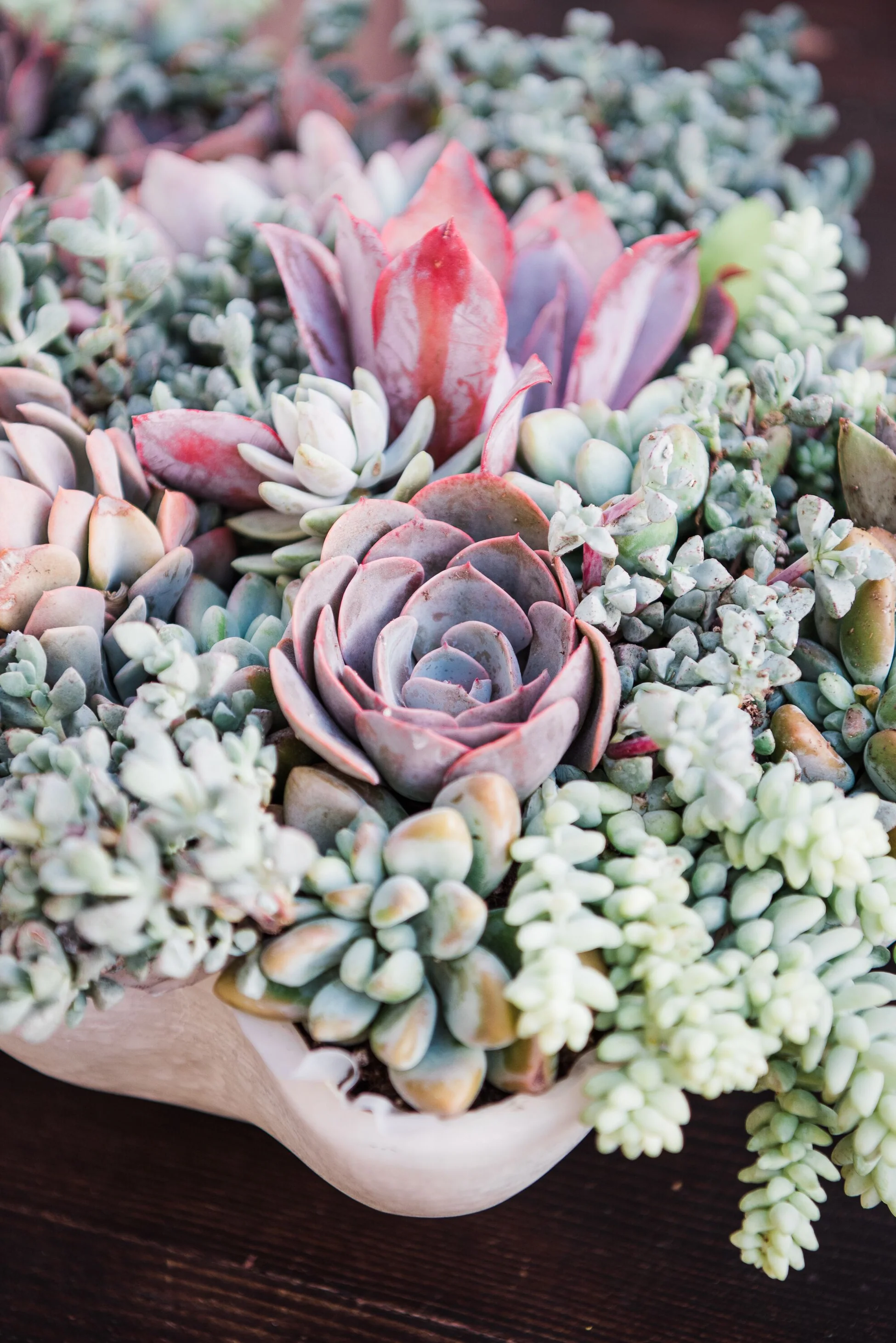 Craft Your Own Botanical Masterpiece