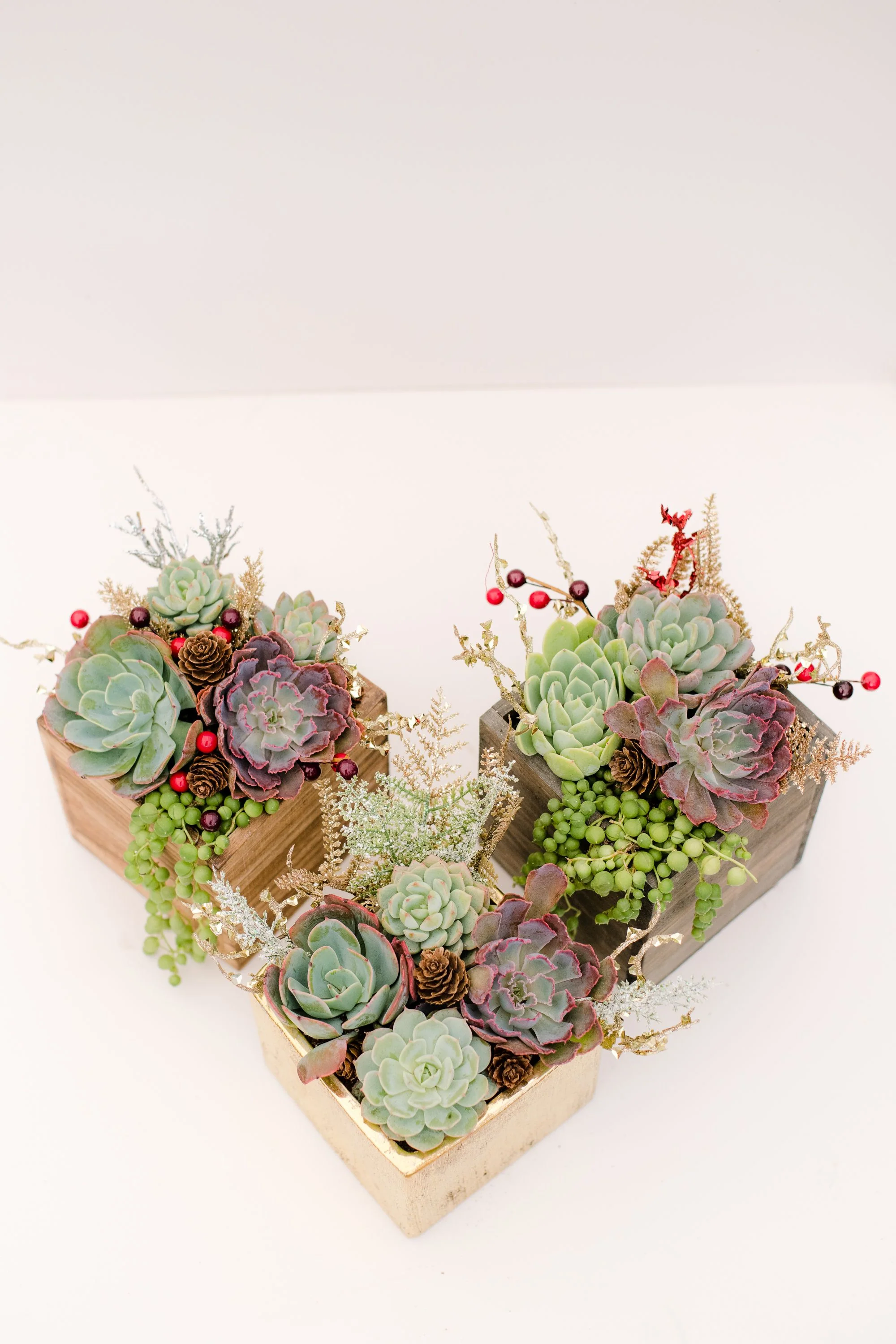 DIY Glitzy Succulent Planter Kit - Image 4