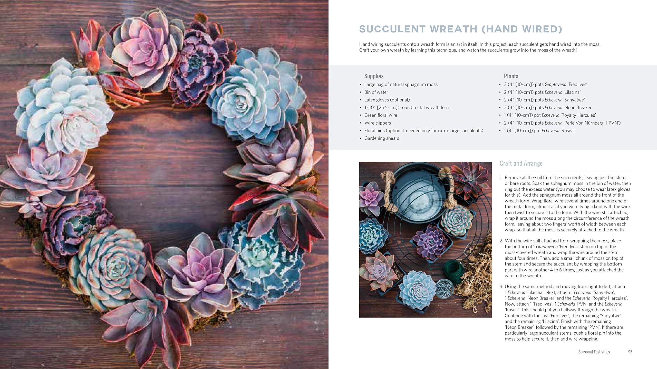 Stylish Succulent Designs & Other Botanical Crafts DIY Book - Image 12