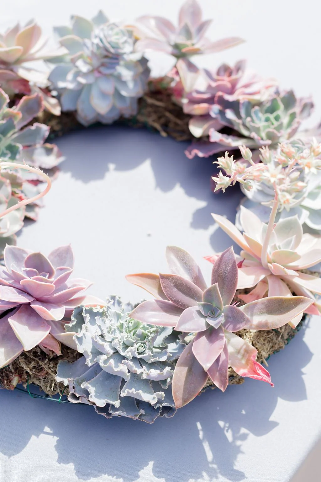 Succulent Wreath Arrangement - Image 5