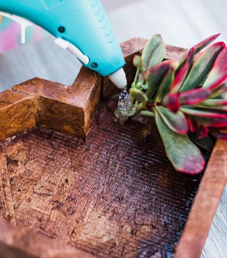 Wooden Succulent Heart DIY Kit - Image 5
